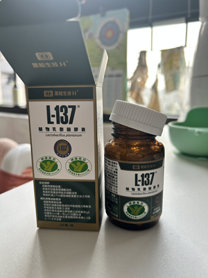 黑松L-137植物乳酸菌膠囊體驗心得