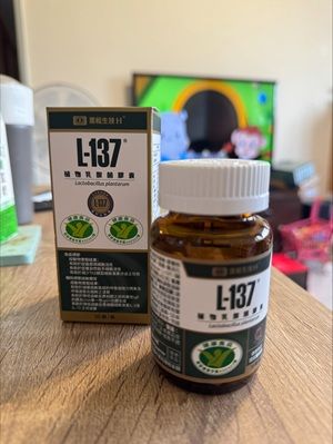 黑松L-137植物乳酸菌膠囊體驗心得