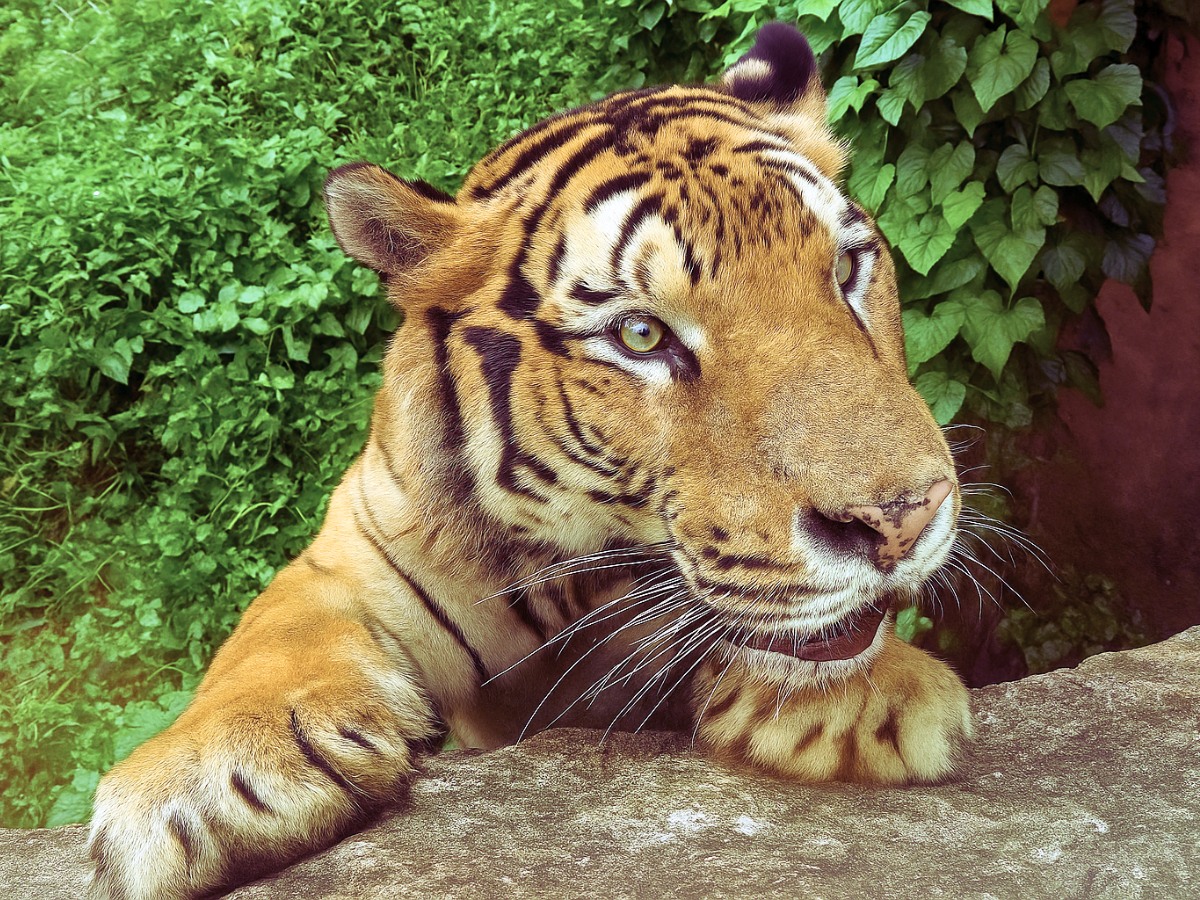 壽山動物園