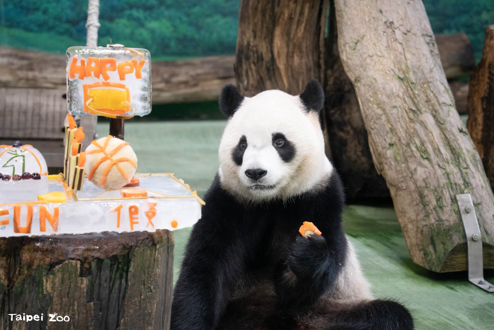 台北市立動物園