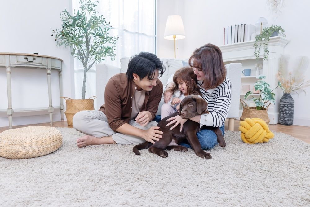 孩子說想養狗