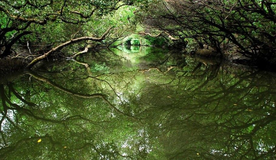 台南|台南旅遊補助