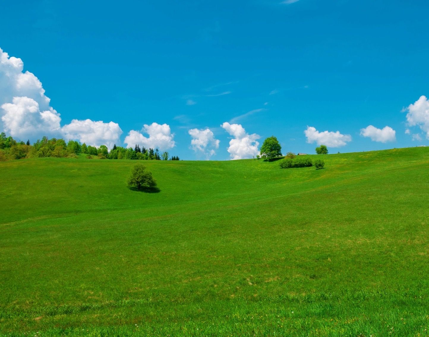 婚姻關係|心理測試