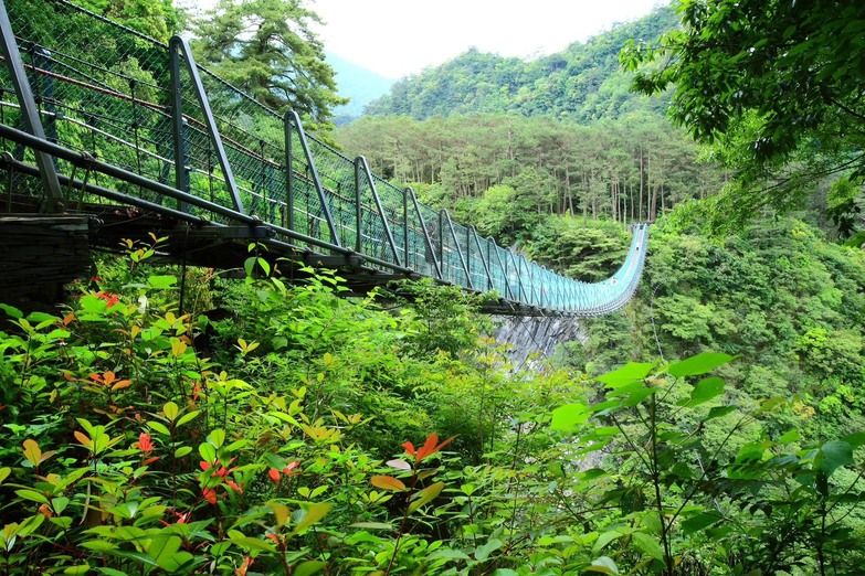 奧萬大|親子旅遊