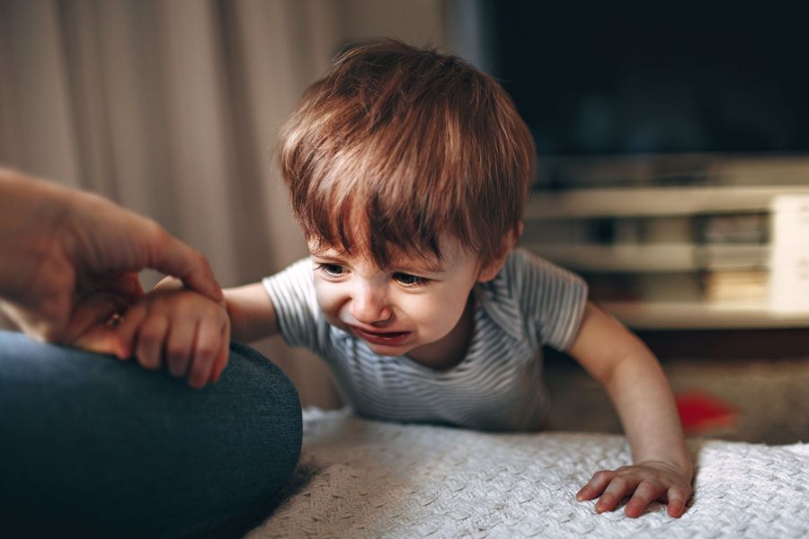 觀察當涉案老師靠近時,孩子的身體是否會不自覺地「縮脖子、聳肩、倒退、或用手護頭」?