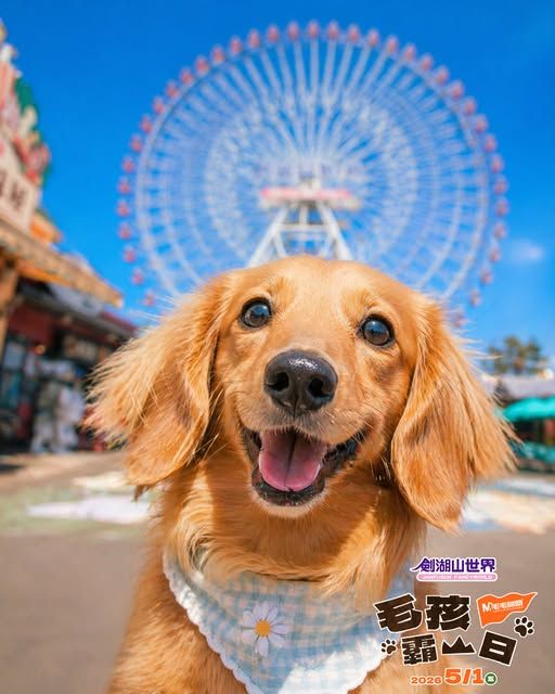 雲林劍湖山世界人寵共遊