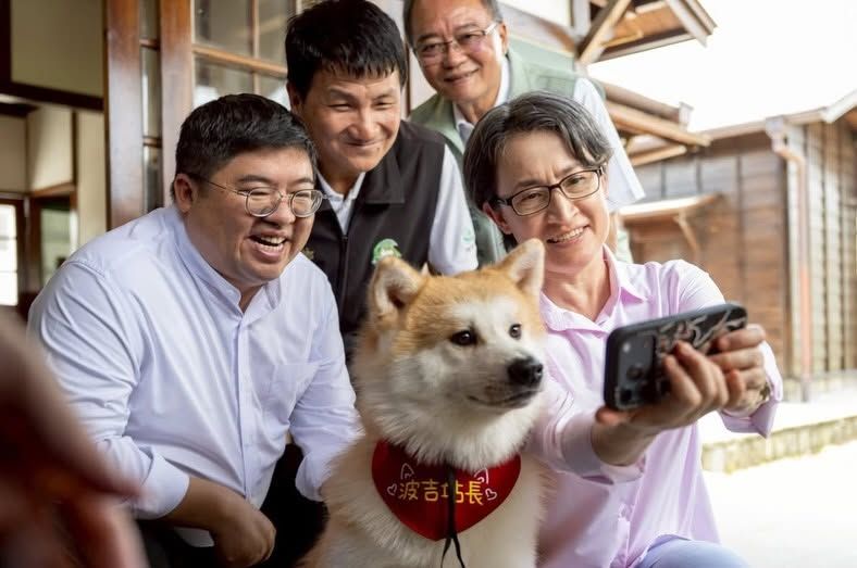 阿里山林業鐵路鹿麻產站秋田犬「波吉」