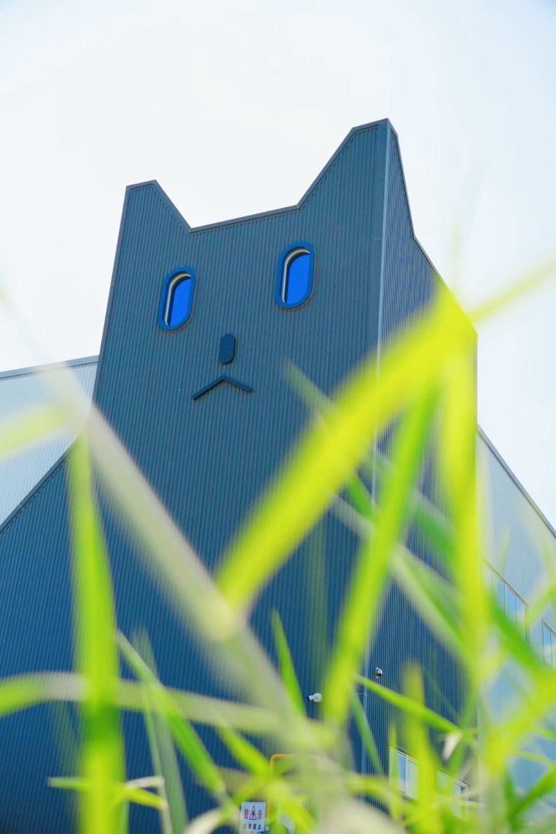 貓咪工廠|屏東|親子旅遊