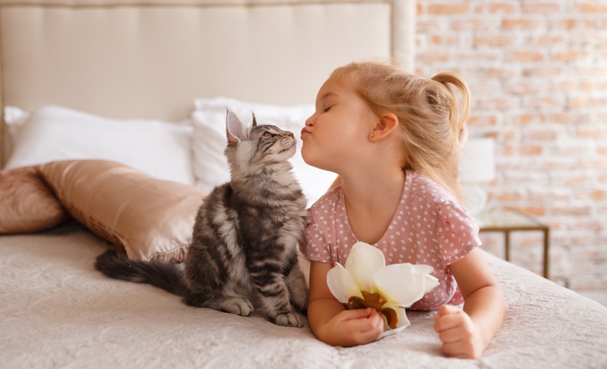 寵物寶寶|貓踏踏