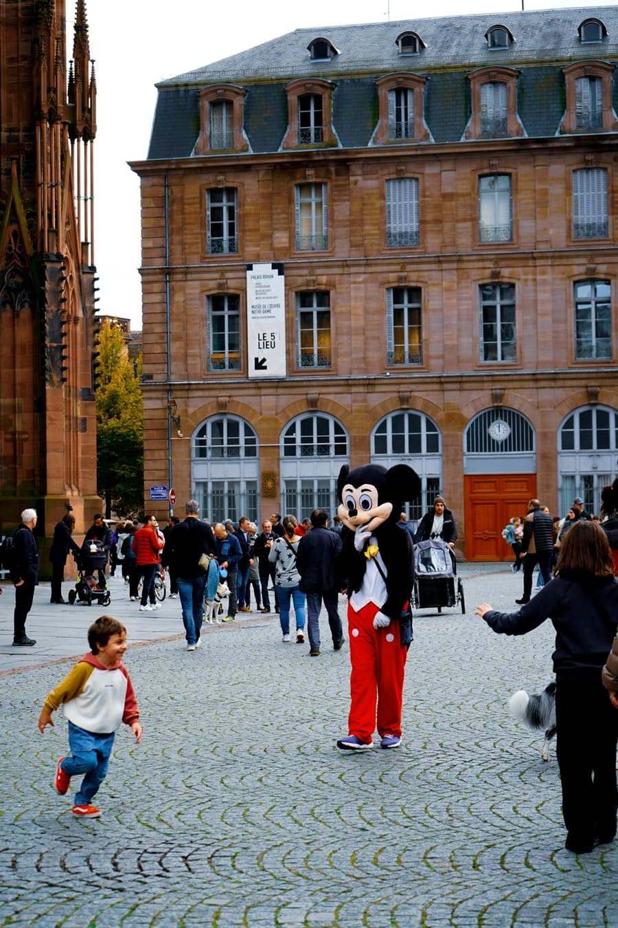 孩子走失|被牽走|誘拐|父母|外出|牽手|不離開視線|人蛇集團|媽媽|陌生人|阿婆