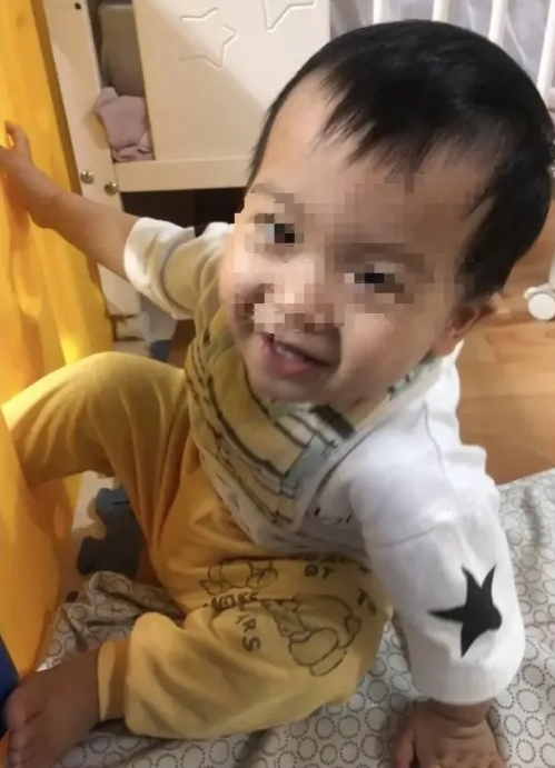 剴剴