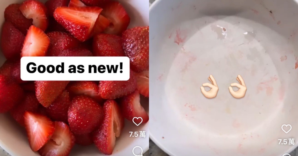 草莓保鮮|清冰箱