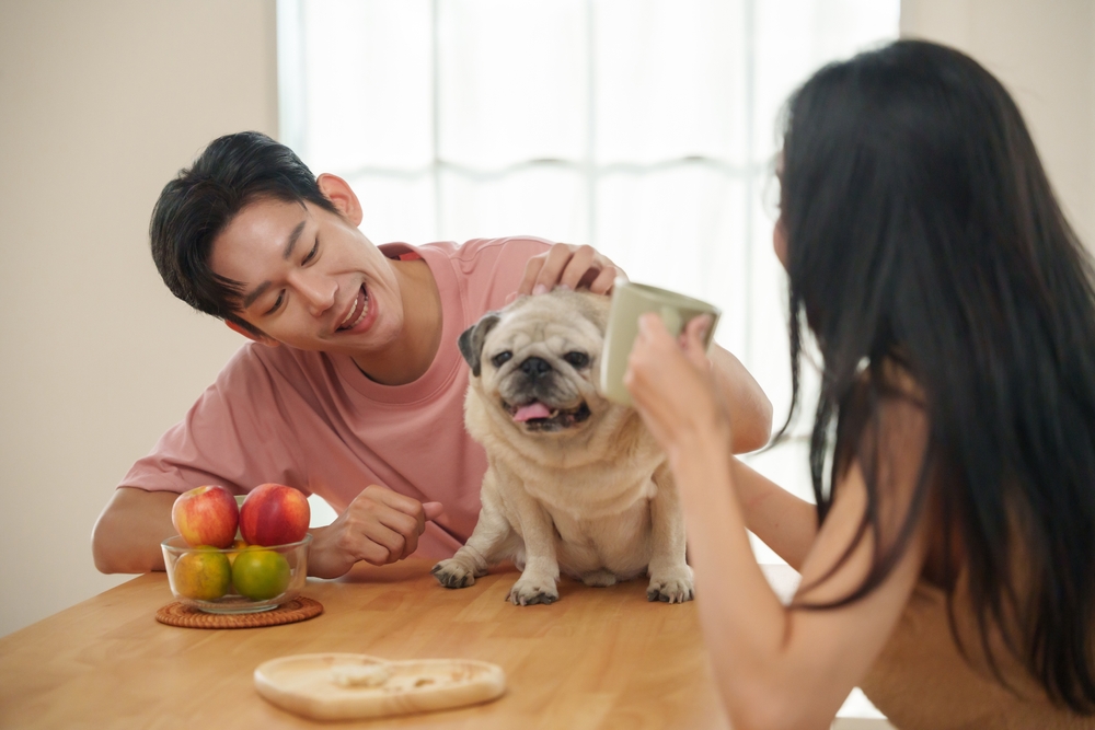 養寵物│人格特質