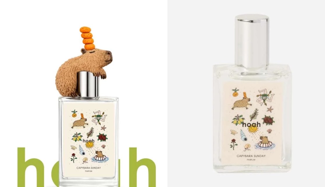 hoah香水| 大饅大力