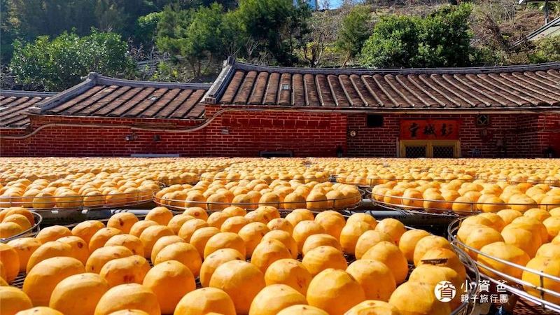 金漢杮餅教育農園│新竹縣│新埔鎮│小資爸親子旅遊團