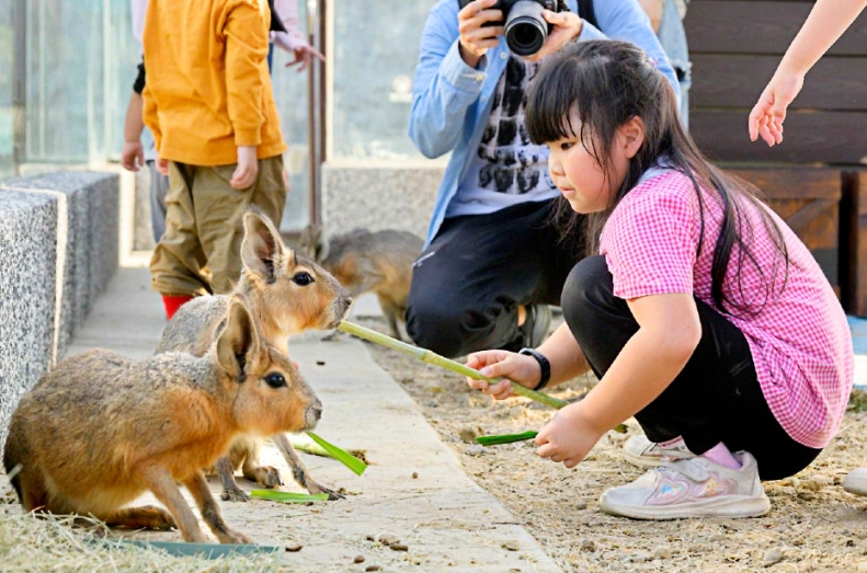 野森動物學校
