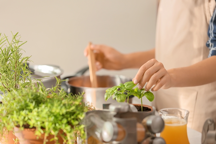 健康│香草│料理│少鹽少糖│三高│血管阻塞│料理提味