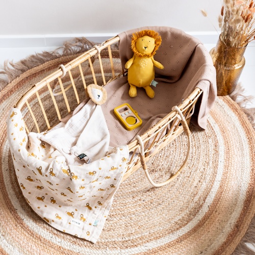 比利時Trixie│寶寶木玩小相機│親子選品│聖誕節好物