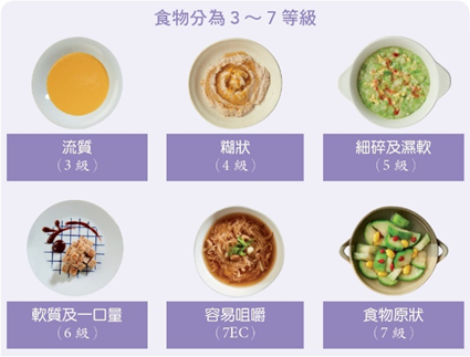 固體食物│流質│糊狀│細碎濕軟│軟質│一口量│容易咀嚼│食物原狀│