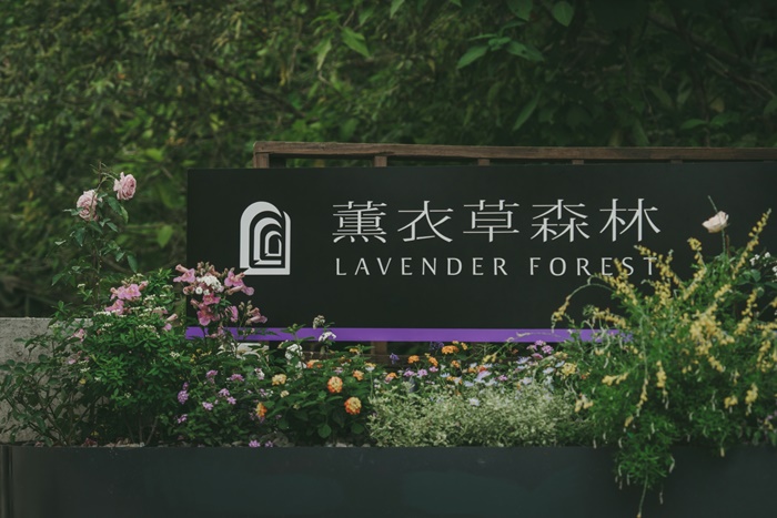 薰衣草森林