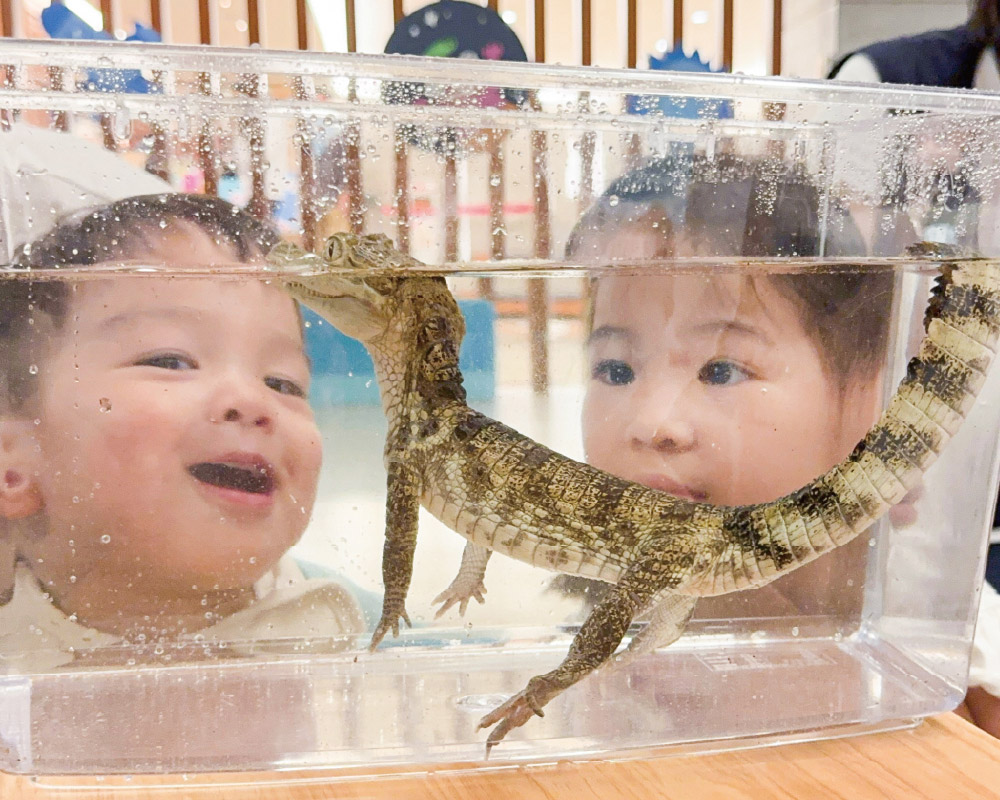 新竹煙波湖濱館  