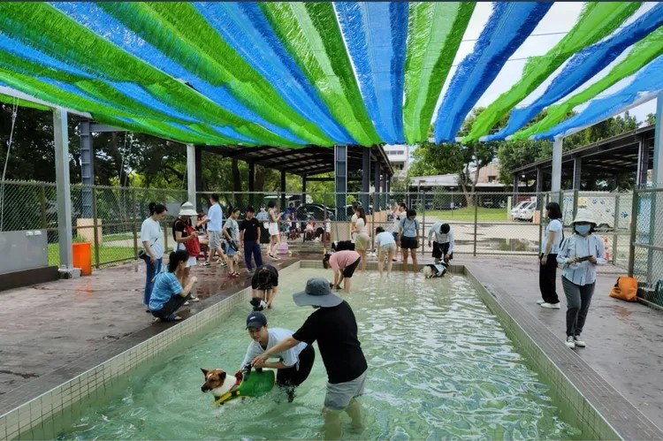 寵物用戲水池
