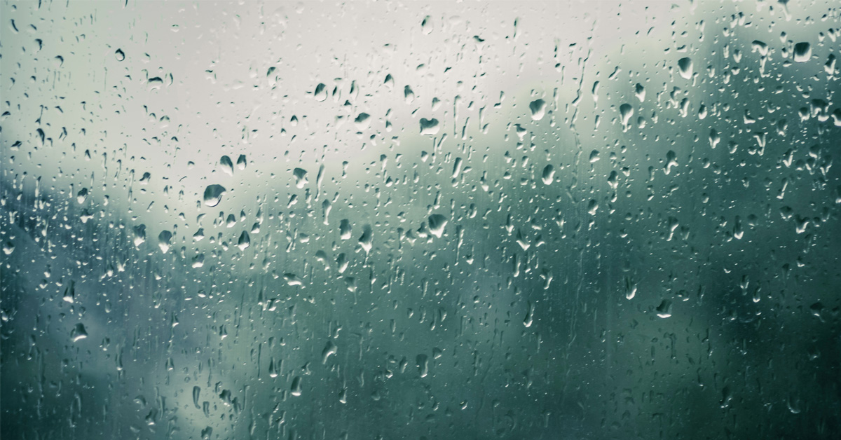 梅雨季|潮濕