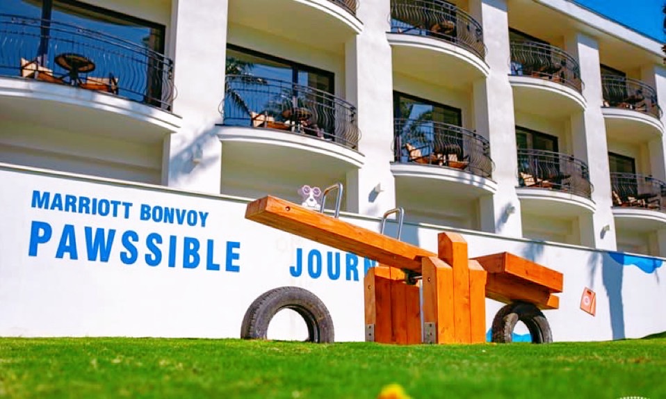 寵物寶寶|威斯汀毛孩樂園