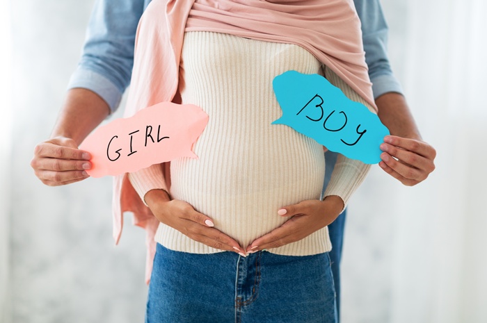 胎兒發育歷程│孕期中期│胎兒發育│受孕│分娩